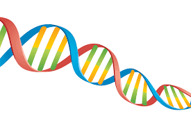 Tips hur man importerar sitt DNA-data till MyHeritage